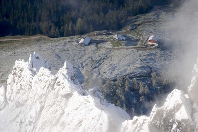 der Königsjodler nach Wintereinbruch im September